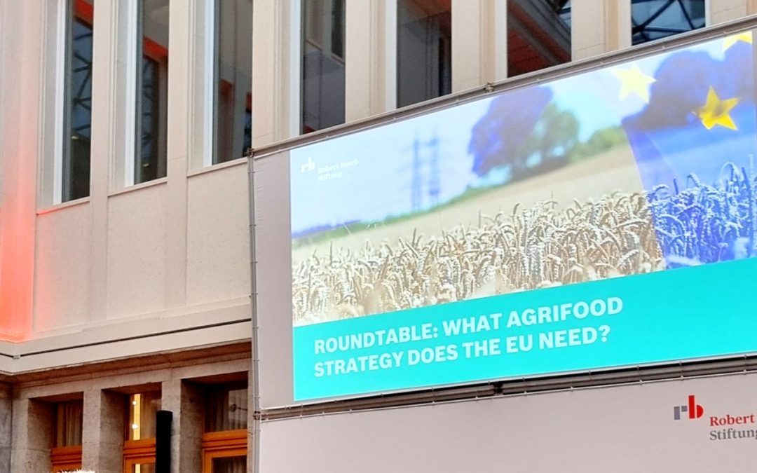 Expertengespräch zur EU-Agrifood-Strategie in der Robert Bosch Stiftung